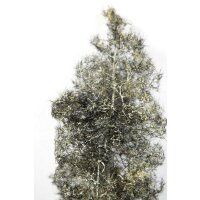 BLACK-WHITE FANTASY BUSHES 1/36