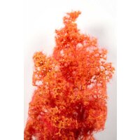 RED-ORANGE FANTASY BUSHES 1/35
