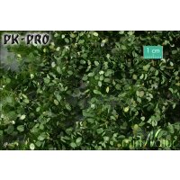 MN-Weed-Tufts-Summer-(1:45+)