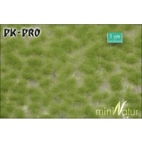 MN-Long-Tufts-Spring-(1:87)