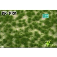 MN-Long-Tufts-Summer-(1:87)