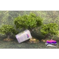 Kraut for Trees (400mL)