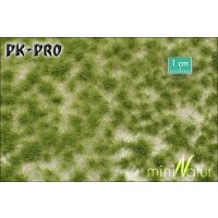 MN-Long-Tufts-Early-Fall-(1:87)