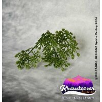 Swamps of Doom + Kraut for Trees Mega Deal