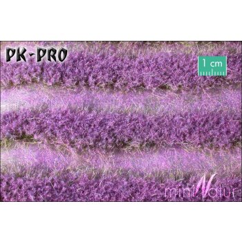 MN-Lavender-Field-Stripes-Summer-(1:45+)