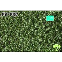 MN-Oak-Foliage-Summer-(1:87)