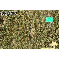 MN-Oak-Foliage-Early-Fall-(1:87)