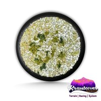 Pride of the Riddermark