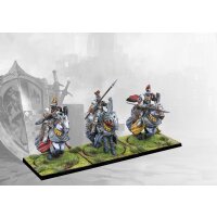 Hundred Kingdoms: Household Knights