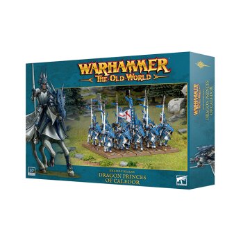 HIGH ELF REALMS:DRAGON PRINCES O/CALEDOR