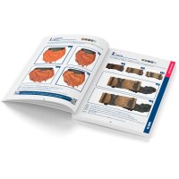 Angel Giraldez: Color Painting Guide