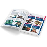 Angel Giraldez: Color Painting Guide