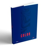 Angel Giraldez: Color Painting Guide