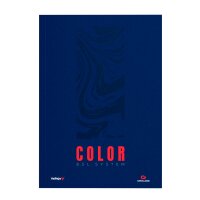 Angel Giraldez: Color Painting Guide