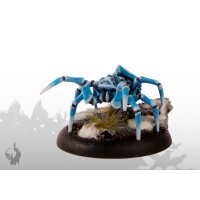 Polar Spider