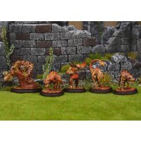 Faction starter Fire Novice