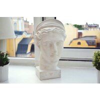 TFC Alabaster gypsum natural white finest 2:1 - Size: 1kg