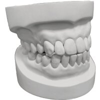 Quantum Rock Plus dental plaster light grey 5:1 - Size: 20 kg