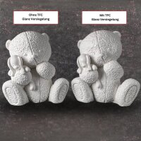 TFC Finish Plaster Shine Agent for Hard Plaster Dental Plasters - Size: 250 ml