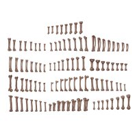 Human Bones - Basing Bits (120 stk)