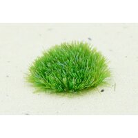 Tufts - Juicy Green 2mm