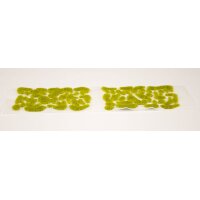 Tufts - Wild Sunny Garden 2mm wild