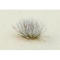 Tufts - Winter Grass 6mm