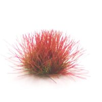 Tufts - Red Grass Mead 6mm