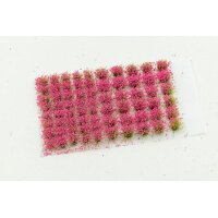 Flowers - Moon Aster 6mm