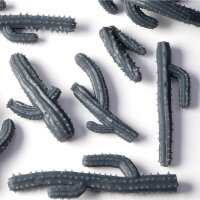 Basing Bits - Saguaro Cacti