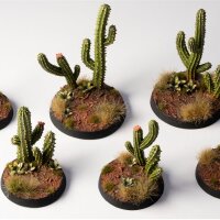 Basing Bits - Saguaro Cacti