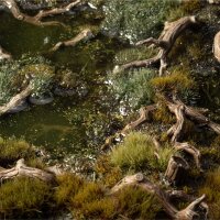 Basing Bits - Gnarled Branches