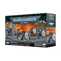 Space Marines: Terminatorstrumtrupp