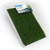 WEED TUFT - Late Summer