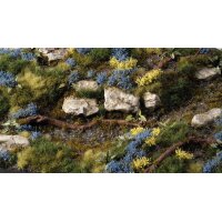 Bluebeard Flowers (75 stk.)