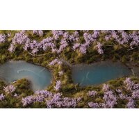 Lavender Flowers (75 stk.)