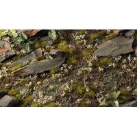 White Lily Tiny Flowers (375stk.)