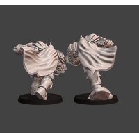 Silver Line - Guardian Brawlers