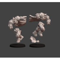 Silver Line - Guardian Brawlers