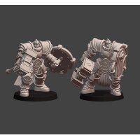 Silver Line - Guardian Defiants