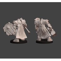 Silver Line - Guardian Defiants