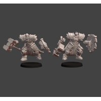 Silver Line - Guardian Defiants