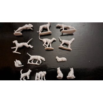 Cats & Dogs (13pcs)