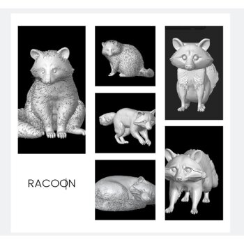 Racoons (8pcs)