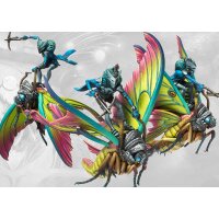 Weaver Courts: Ciannir Riders