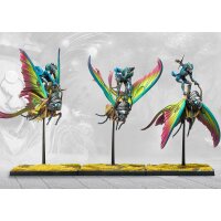 Weaver Courts: Ciannir Riders