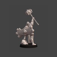 Silver Line - High Warden Elara Steelheart