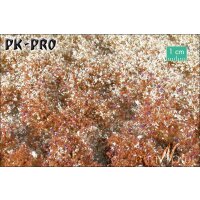 MN-Blütenbüschel-Spätherbst-(1:45)