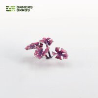 Laser Plants - Alien Monstera