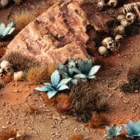 Laser Plants - Blue Agave